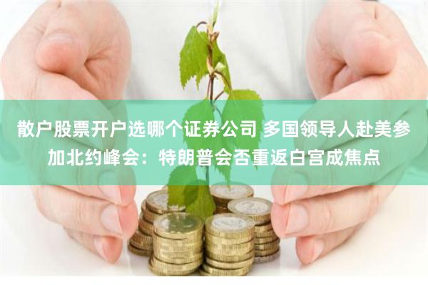 散户股票开户选哪个证券公司 多国领导人赴美参加北约峰会:特朗普会否重返白宫成焦点