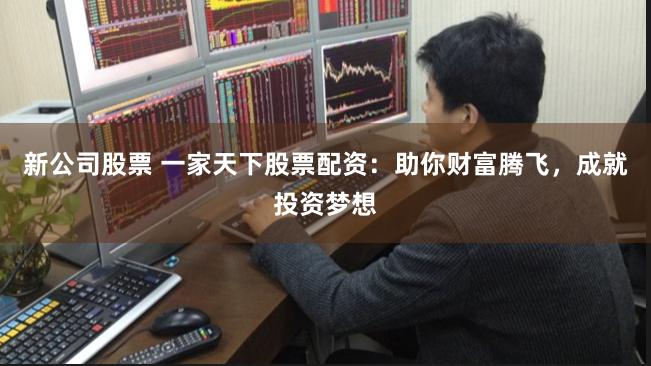 新公司股票 一家天下股票配资：助你财富腾飞，成就投资梦想