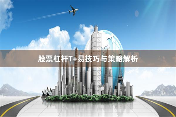 股票杠杆T+易技巧与策略解析